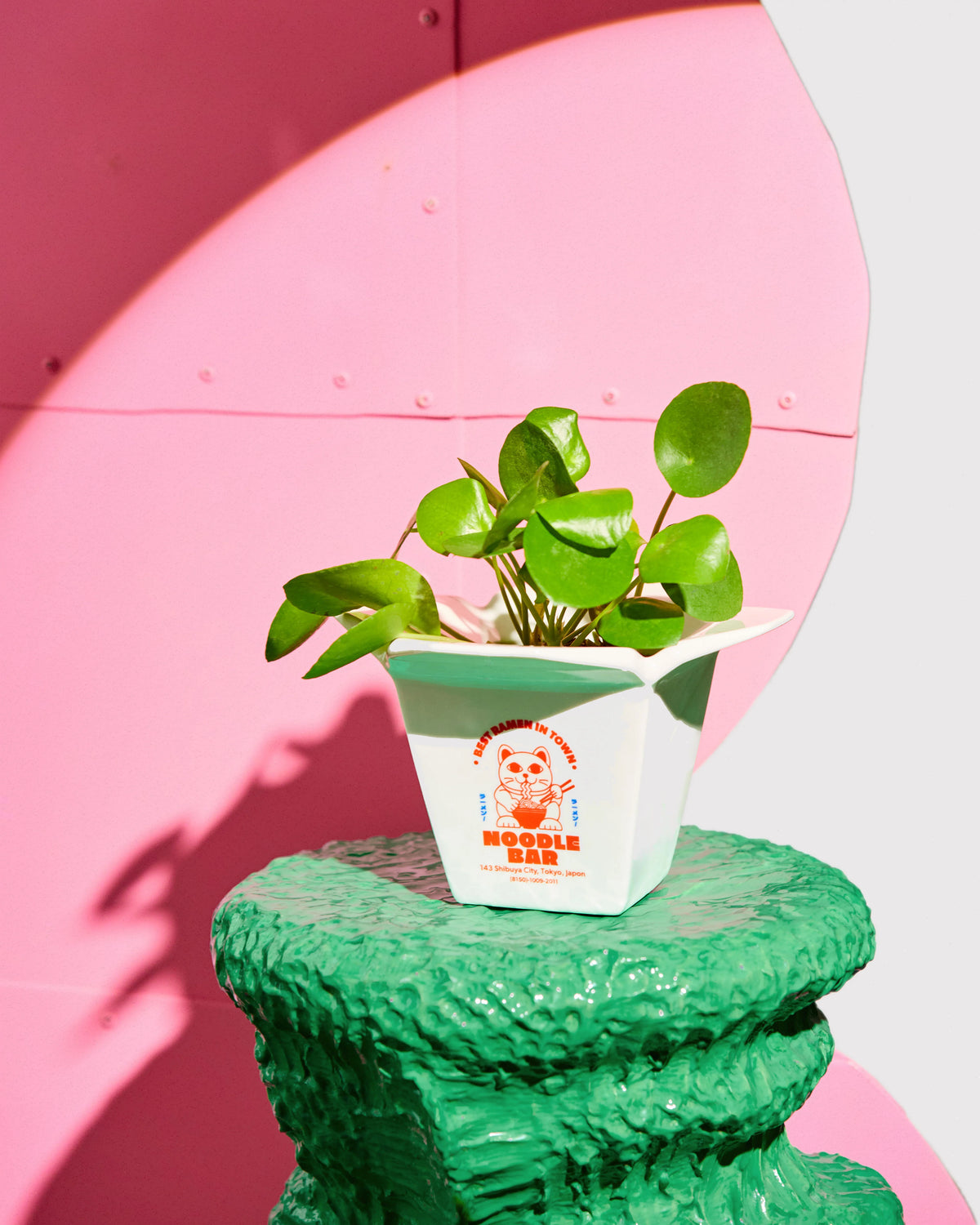 Ramen pot vase