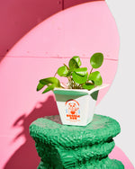 Load image into Gallery viewer, Ramen Pot Vase
